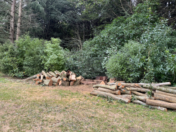 Elm dismantle heretaunga park