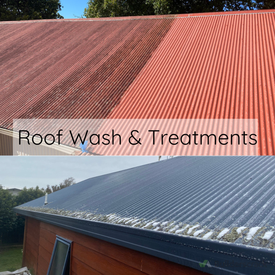 Roof Wash & Treatment