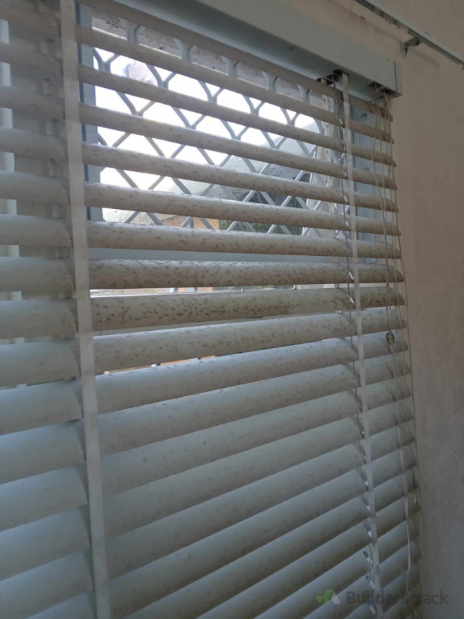 For Deep clean- windows and blinds