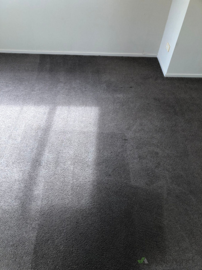Carpet cleaning done by our team