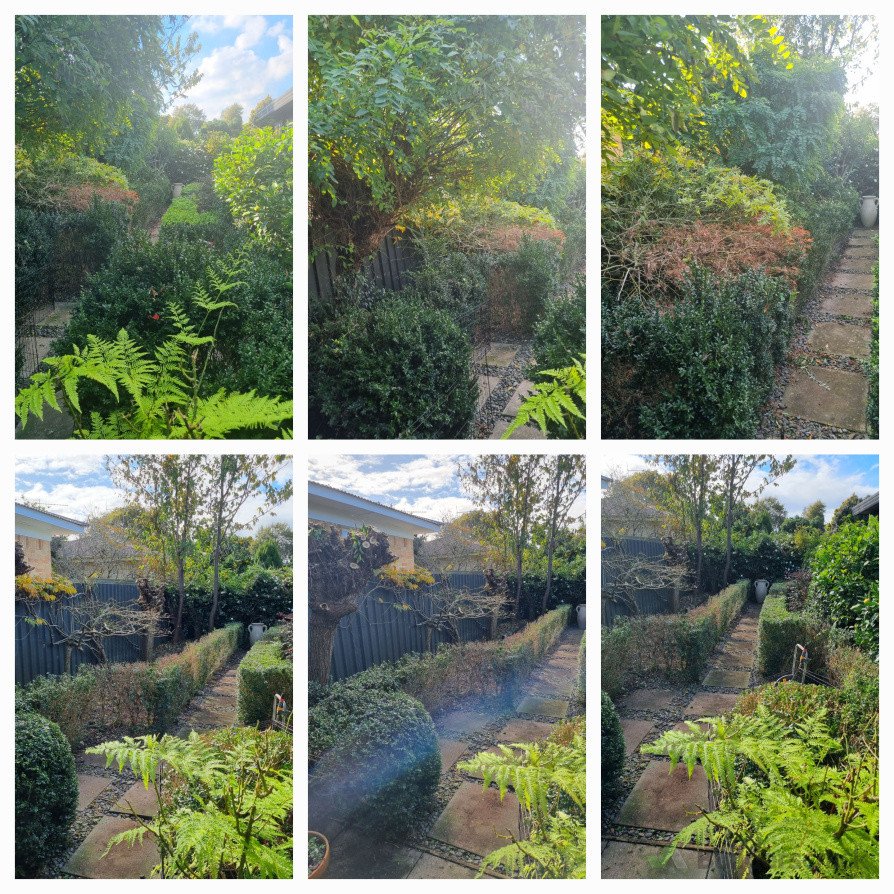 Before and after of a good garden tidy up and trim