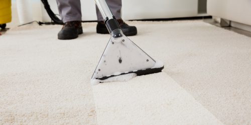 Carpet Cleaners - what services do they offer?