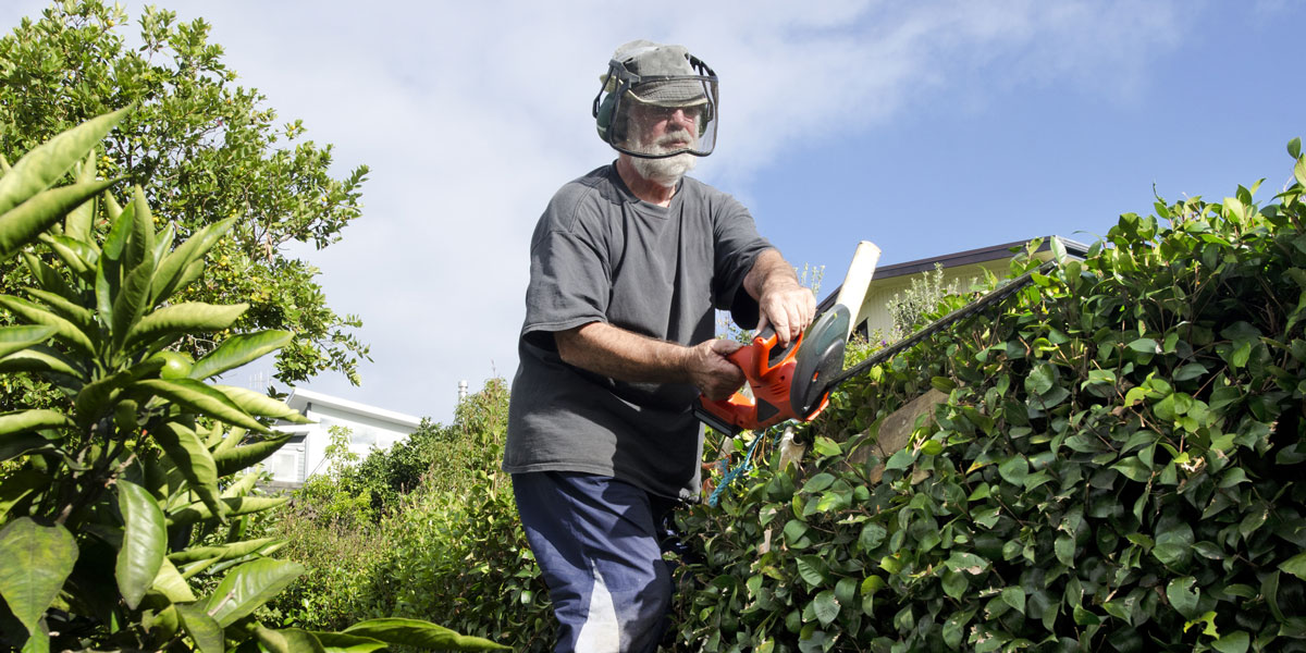 4-Reasons-for hiring a gardener