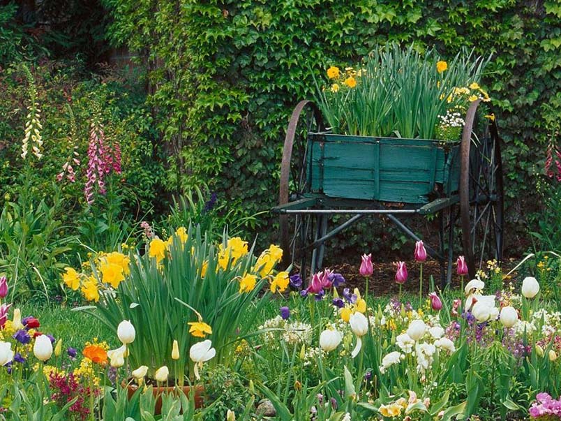 Planting bulbs for Spring