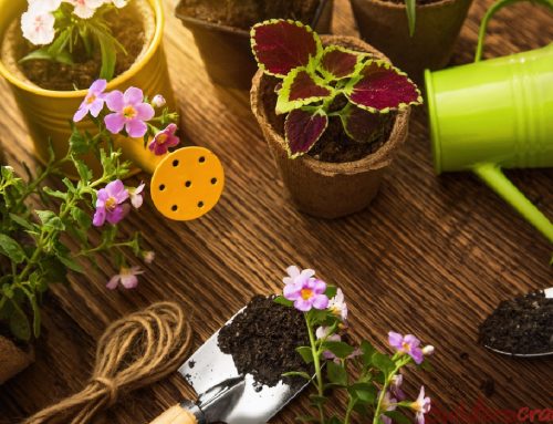 10 Essential Spring Garden Maintenance Jobs You Need To Know