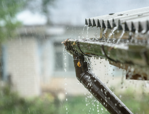 Guttering And Spouting: How To Spot The Warning Signs And Prevent Damage
