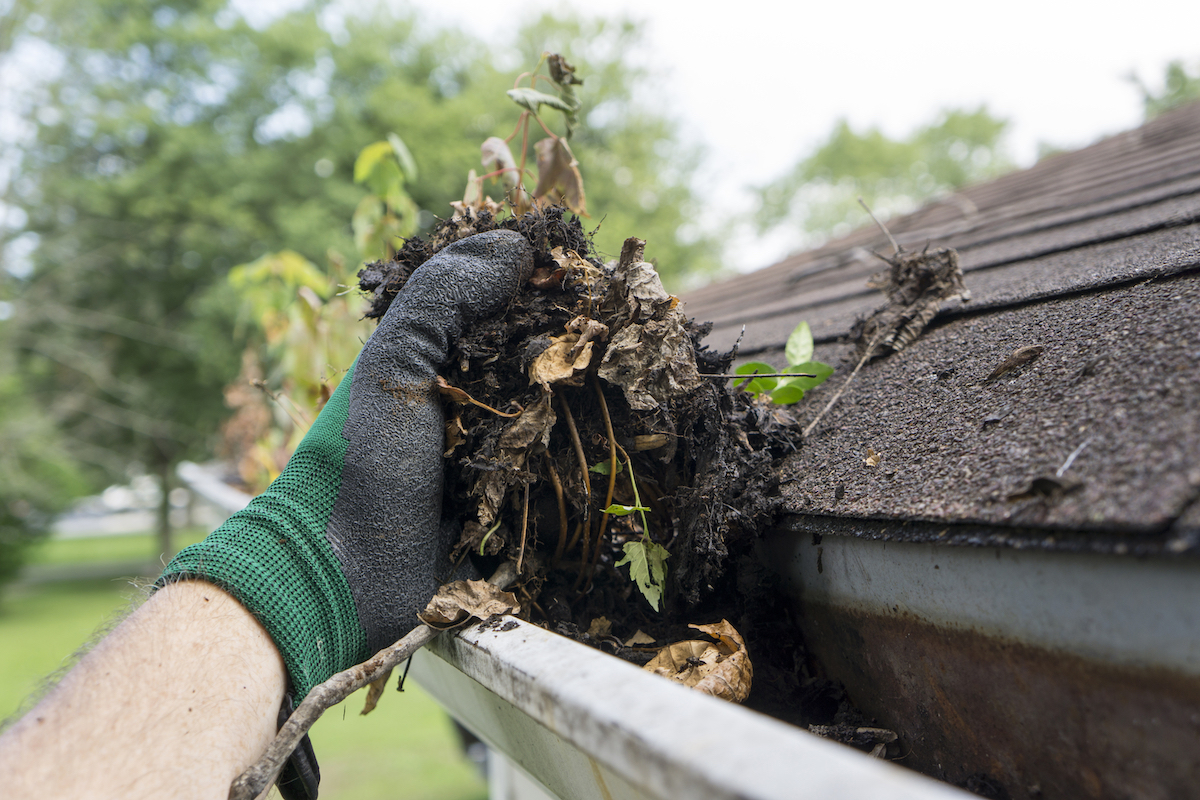 Cleaning gutters regularly improves home's value