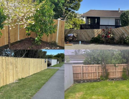 4 Fence Transformations That’ll Inspire Your Next Outdoor Project