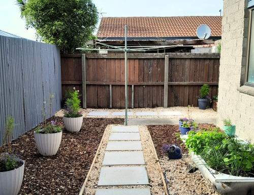 This Landscaping Transformation Turned Frustration Into Joy For A Christchurch Homeowner