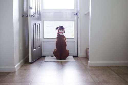2025 Trends: What Your Neighbours Were Up To This Year