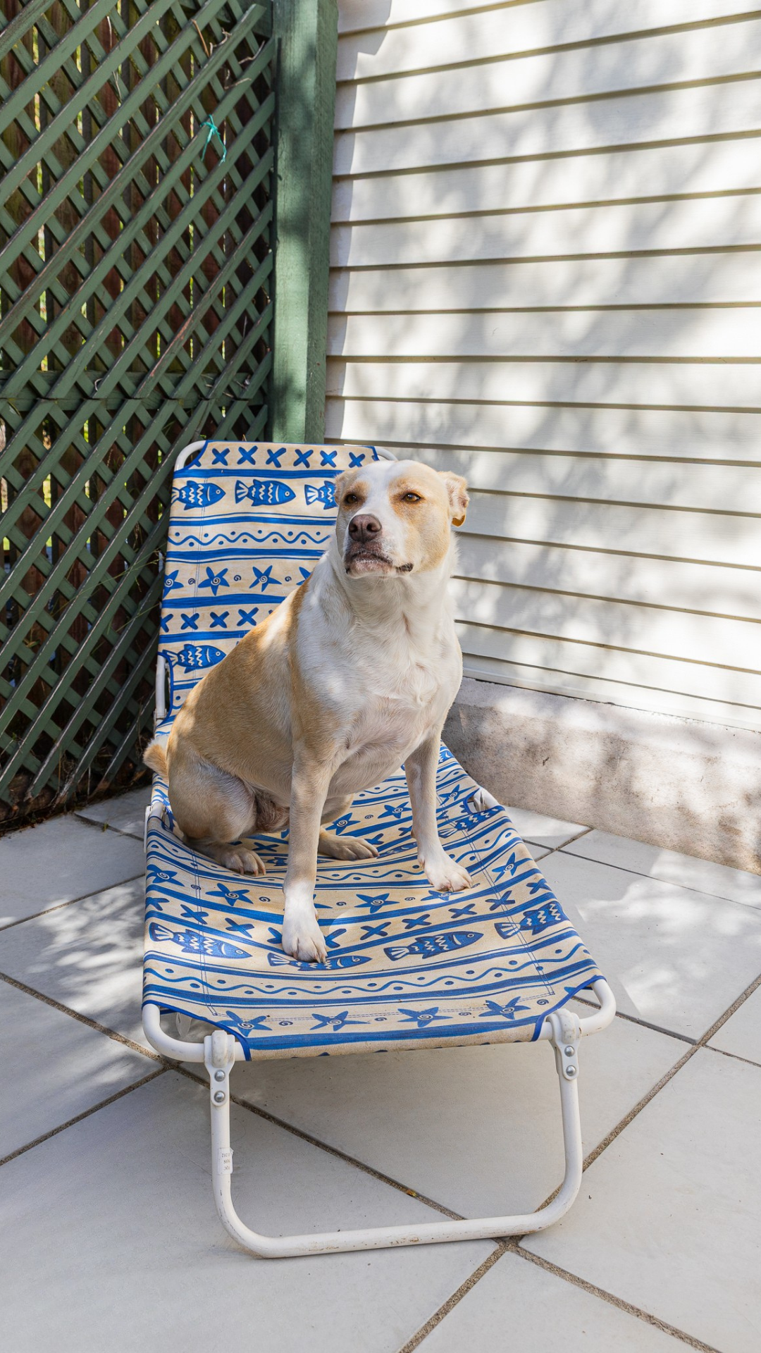 paving landscaping Christchurch