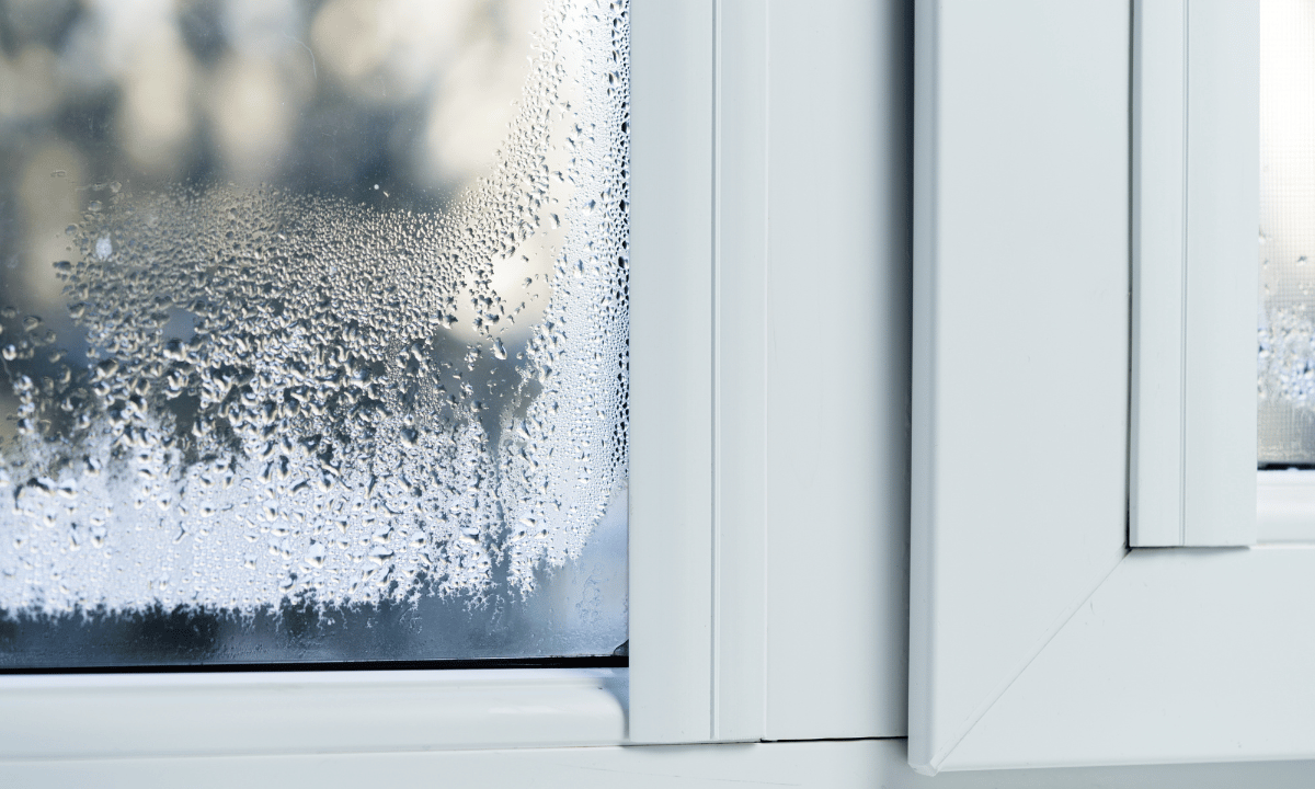 Kiwi home with seamless indoor-outdoor flow onto a timber deck.