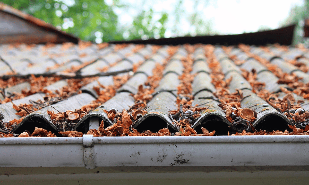 By autumn, gutters are often full of leaves, debris, and summer build-up.