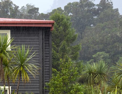 How to look after your outdoor spaces through winter