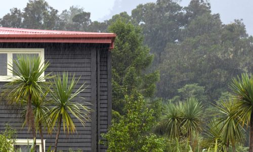 How to look after your outdoor spaces through winter