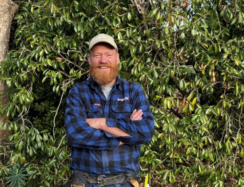 Meet Tom from Impala Homecraft: A tradie of many skills and a learner at heart