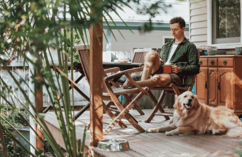 How to make the most of your home this summer: the jobs best done in spring