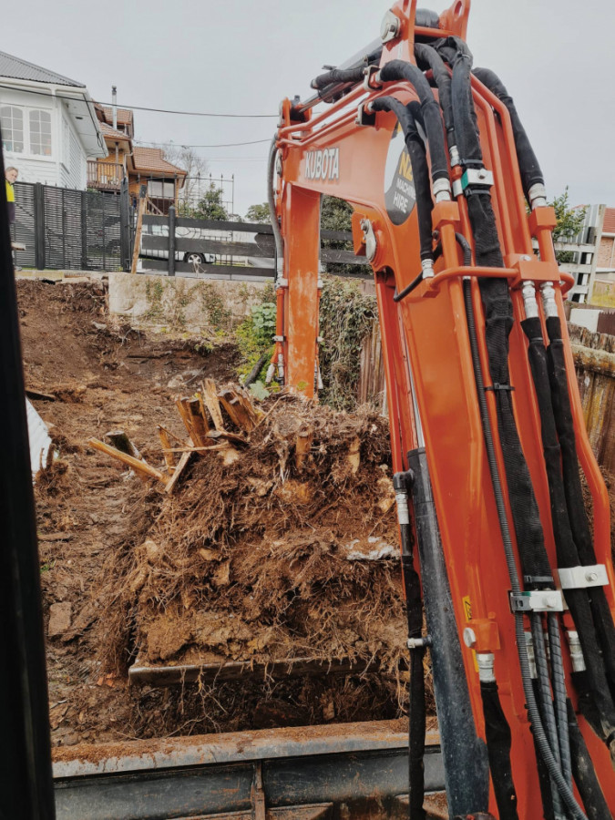 Tree Removal