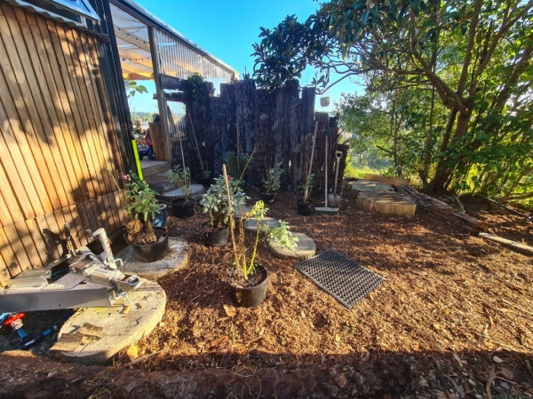 After: Mulched Gardens