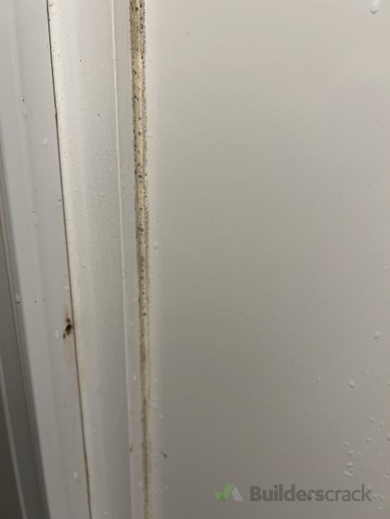 Apply sealant to shower ( 759369) Builderscrack