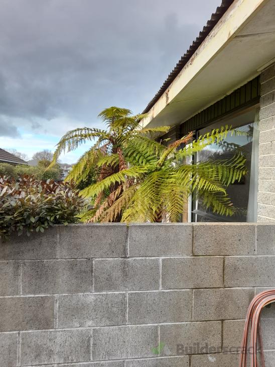 Sand, fill and paint 15m fascia board ( 765765) Builderscrack