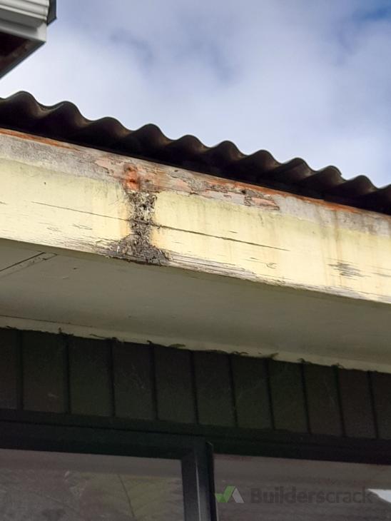 Sand, fill and paint 15m fascia board ( 765765) Builderscrack