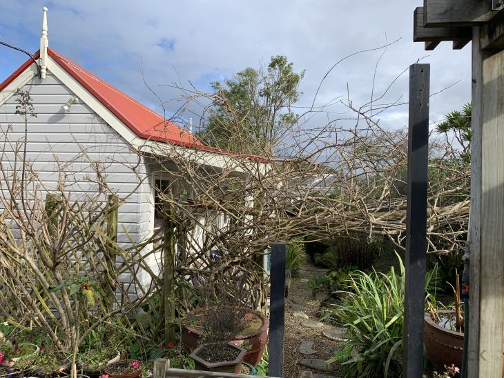 Trellis repair ( 766057) Builderscrack