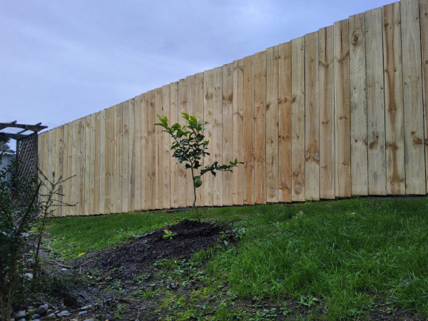 1.8m tall fence