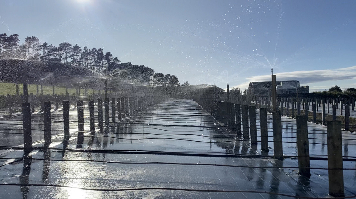 Gravity fed irrigation system for local nursery
