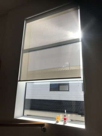 Sunscreen roller blinds for privacy