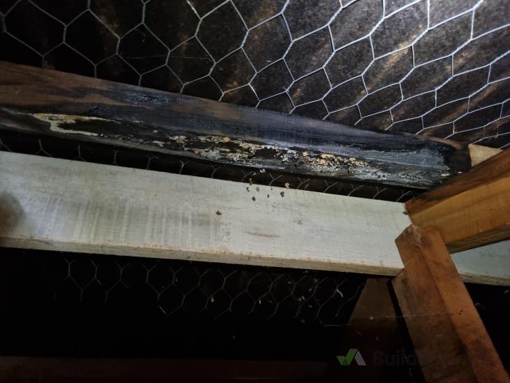 Leaking roof ( 771335) Builderscrack