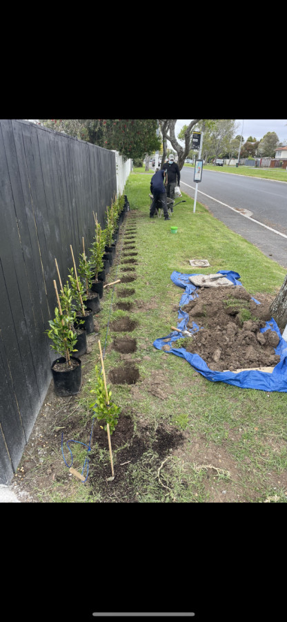 Replanting
