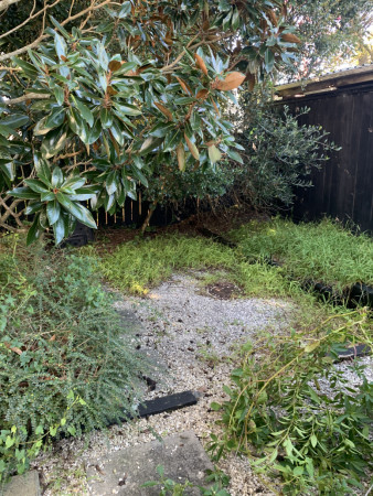 Before