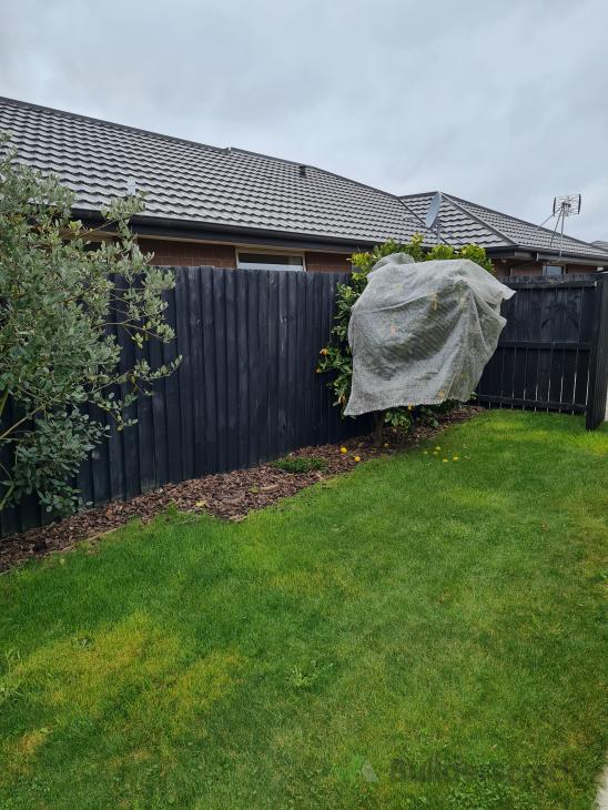 Pruning and stone chip refresh ( 775971) Builderscrack