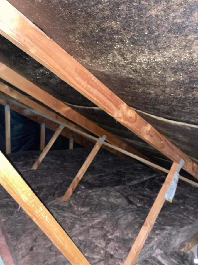 Ceiling Insulation