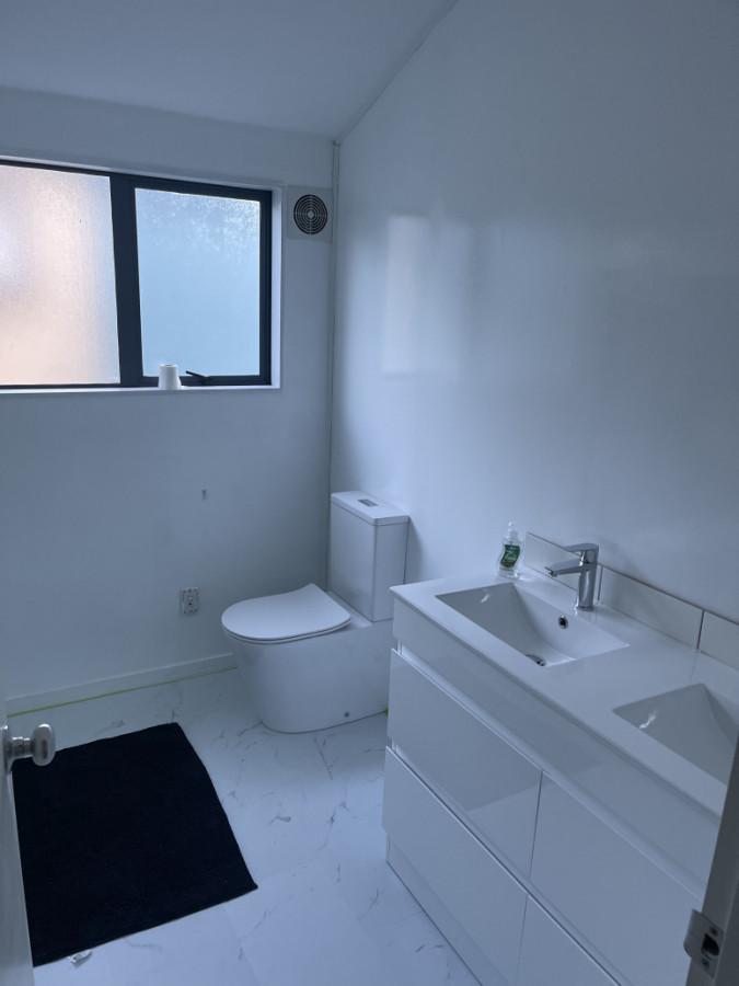 Dual free standing vanity with rimless toilet suit