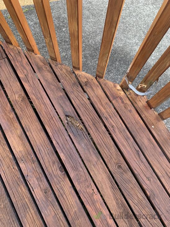 Patio Roof installation & replace deck panel ( 788750) Builderscrack