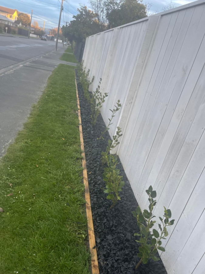 New front Garden Edging and Garden