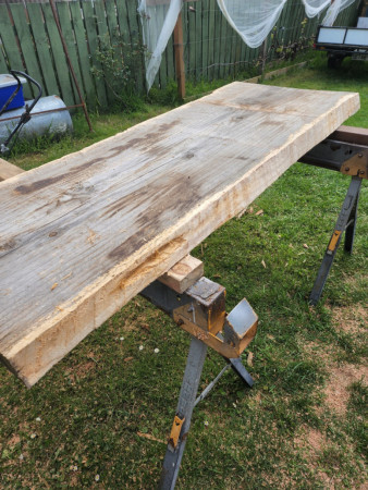 raw redwood slab  before the sanding began