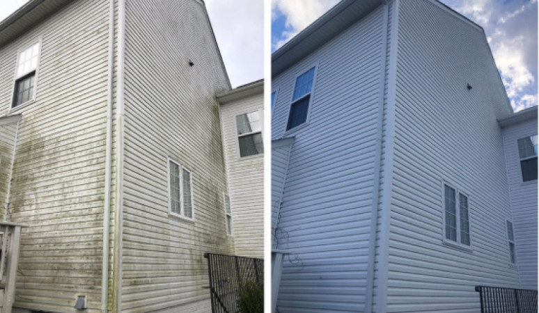 Two Storey House - Mould Removal