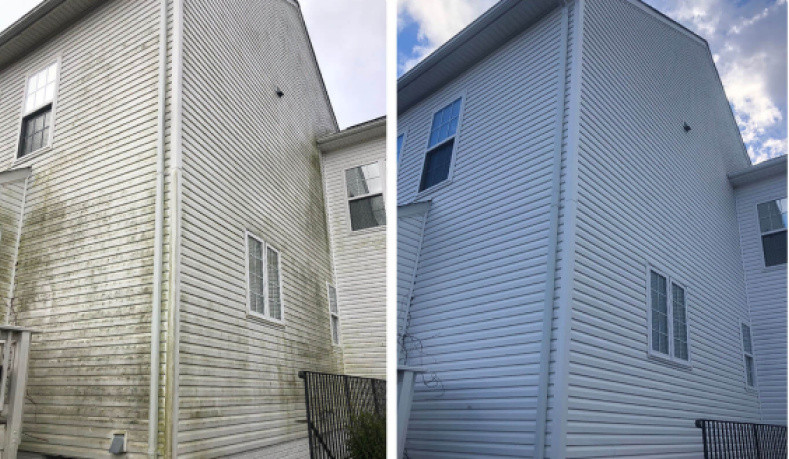 Two Storey House - Mould Removal