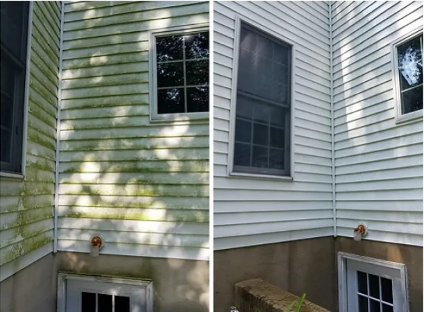 Single Storey House - Mould Removal