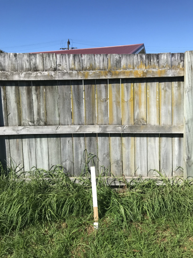 Boundary Survey