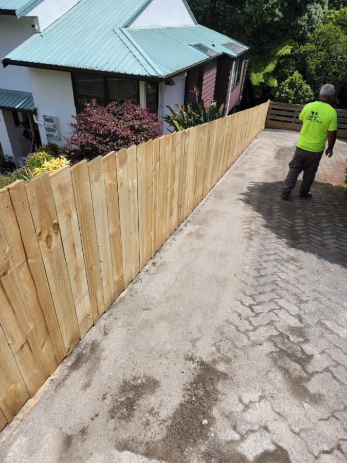 Timber fence 1.2m & relay old pavers (photo taken half day before final touches)