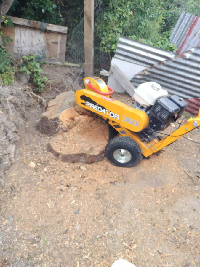 Stump grinding