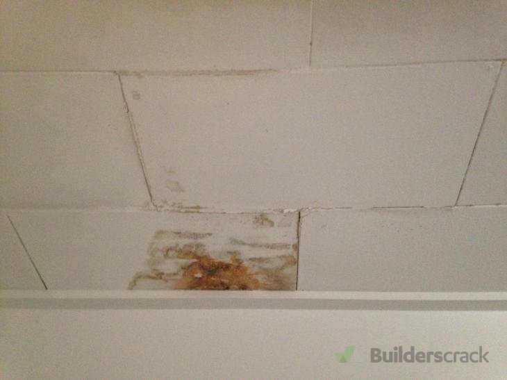 Ceiling Tiles Replace 142571 Builderscrack