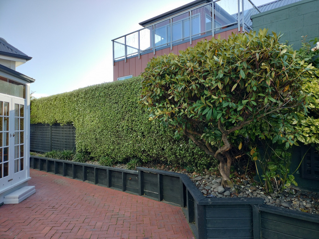 Hedge trim