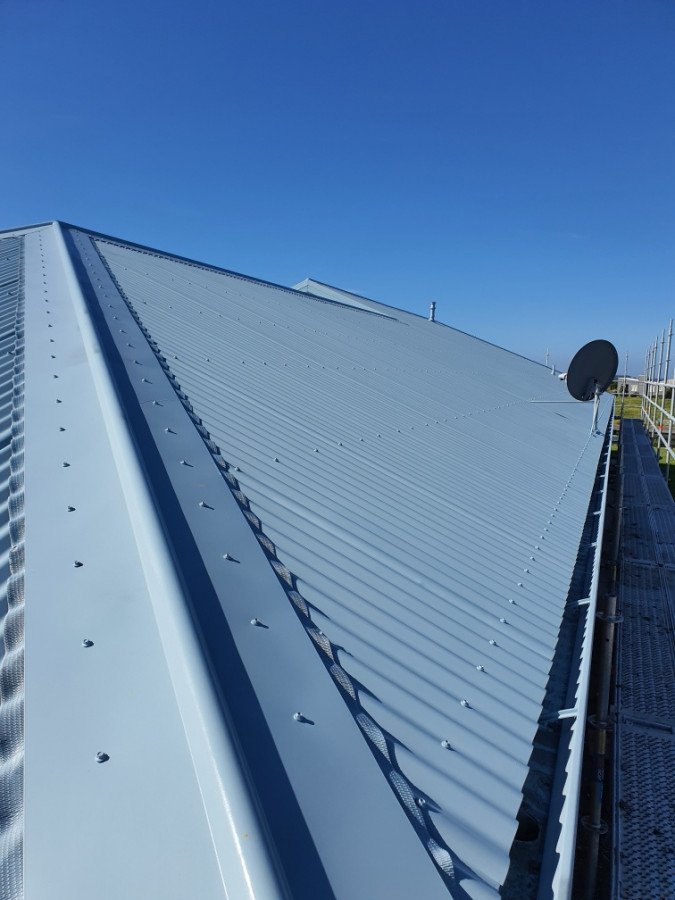 Roof Paint Works