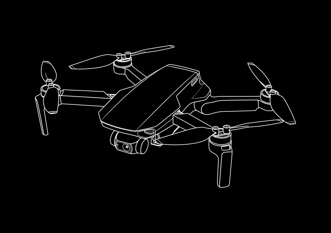 Aerial Roof Inspection