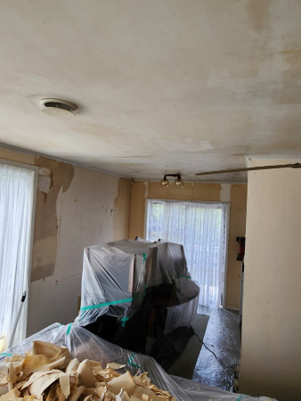 Ceilings cleaned with Bleach and Sugar soap.